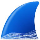 Wireshark v4.6.3绿色便携版